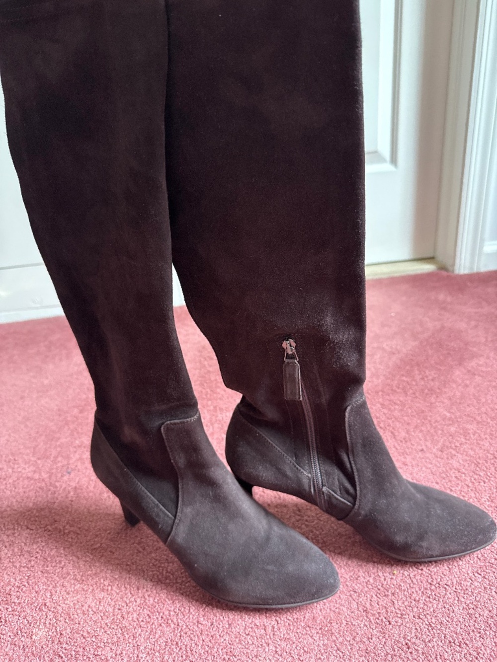 Aquatalia Rumba Brown Suede